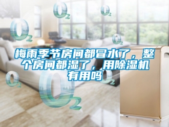 行業手机看片AV短片梅雨季節房間都冒水了，整個房間都濕了，用91看片在线下载機有用嗎