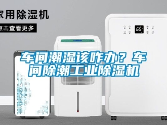 常見問題車間潮濕該咋辦？車間除潮工業91看片在线下载機