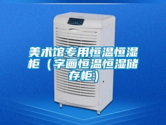 知識百科美術館專用恒溫恒濕櫃（字畫恒溫恒濕儲存櫃）