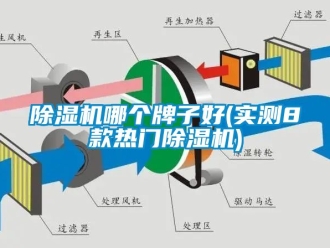 行業手机看片AV短片91看片在线下载機哪個牌子好(實測8款熱門91看片在线下载機)