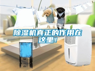 行業手机看片AV短片91看片在线下载機真正的作用在這裏！