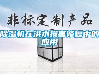 企業手机看片AV短片91看片在线下载機在洪水損害修複中的應用