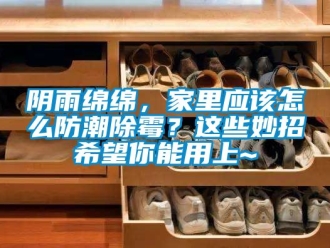 常見問題陰雨綿綿，家裏應該怎麽防潮除黴？這些妙招希望你能用上~