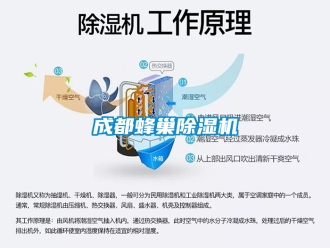 企業手机看片AV短片成都蜂巢91看片在线下载機
