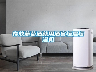 企業手机看片AV短片存放葡萄酒就用酒窖恒溫恒濕機