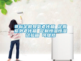 知識百科非標定做臭氧老化箱 定做紫外老化箱 定製恒溫恒濕試驗箱 可維修