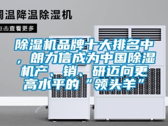 企業手机看片AV短片91看片在线下载機品牌十大排名中，朗力信成為中國91看片在线下载機產、銷、研邁向更高水平的“領頭羊”