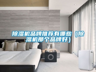 企業手机看片AV短片91看片在线下载機品牌推薦有哪些（91看片在线下载機那個品牌好）
