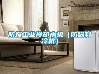 企業手机看片AV短片防爆工業冷卻水機（防爆製冷機）