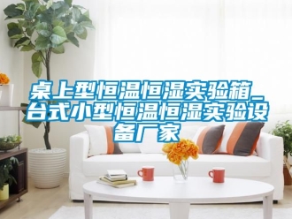 知識百科桌上型恒溫恒濕實驗箱_台式小型恒溫恒濕實驗設備廠家