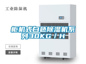 行業手机看片AV短片櫃機式白色91看片在线下载機係列30KG／H