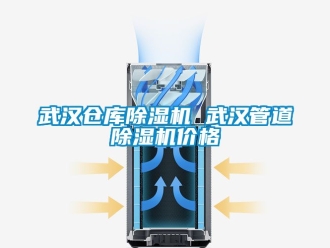 企業手机看片AV短片武漢倉庫91看片在线下载機 武漢管道91看片在线下载機價格