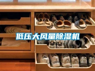 企業手机看片AV短片低壓大風量91看片在线下载機