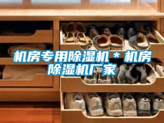 企業手机看片AV短片機房專用91看片在线下载機＊機房91看片在线下载機廠家