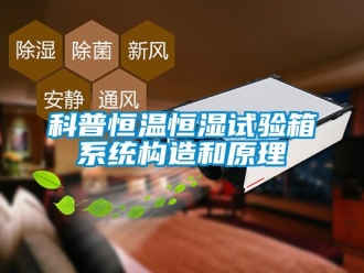 知識百科科普恒溫恒濕試驗箱係統構造和原理