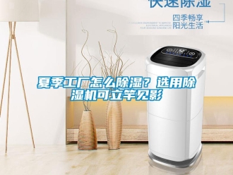 常見問題夏季工廠怎麽91看片在线下载？選用91看片在线下载機可立竿見影