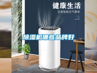 企業手机看片AV短片91看片在线下载機哪些品牌好