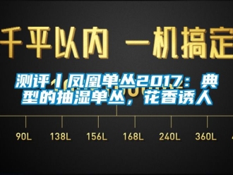 企業手机看片AV短片測評丨鳳凰單叢2017：典型的抽濕單叢，花香誘人