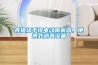養豬場手提電動噴霧器，便攜式消毒設備