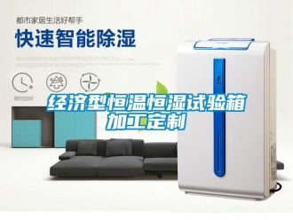 知識百科經濟型恒溫恒濕試驗箱加工定製