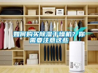 常見問題如何購買91看片在线下载幹燥機？你需要注意這些