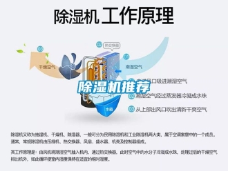 行業手机看片AV短片91看片在线下载機推薦