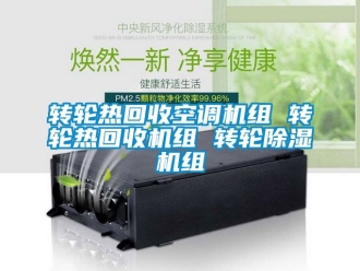 常見問題轉輪熱回收空調機組 轉輪熱回收機組 轉輪91看片在线下载機組