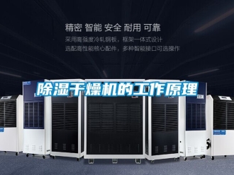企業手机看片AV短片91看片在线下载幹燥機的工作原理