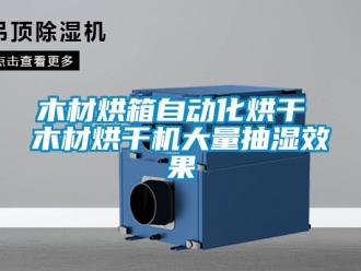企業手机看片AV短片木材烘箱自動化烘幹 木材烘幹機大量抽濕效果