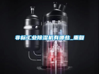 常見問題非標工業91看片在线下载機有哪些_重複