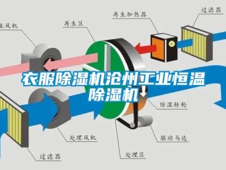 常見問題衣服91看片在线下载機滄州工業恒溫91看片在线下载機