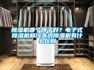 行業手机看片AV短片91看片在线下载機哪個牌子好？電子式91看片在线下载機和冷凍式91看片在线下载機有什麽區別