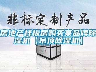 企業手机看片AV短片房地產樣板房購買某品牌91看片在线下载機【吊頂91看片在线下载機】