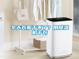企業手机看片AV短片冬天衣服幹不了？用91看片在线下载機幹衣