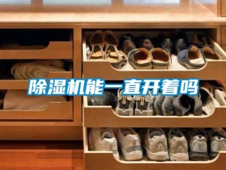 行業手机看片AV短片91看片在线下载機能一直開著嗎