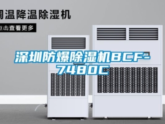 企業手机看片AV短片深圳防爆91看片在线下载機BCF-7480C