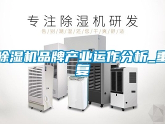企業手机看片AV短片91看片在线下载機品牌產業運作分析_重複