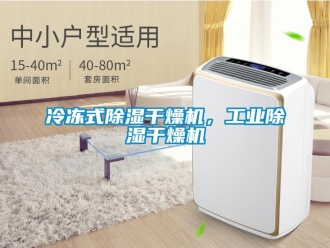行業手机看片AV短片冷凍式91看片在线下载幹燥機，工業91看片在线下载幹燥機