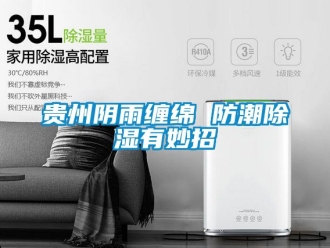 常見問題貴州陰雨纏綿 防潮91看片在线下载有妙招