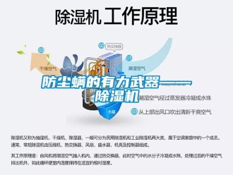 企業手机看片AV短片防塵蟎的有力武器——91看片在线下载機