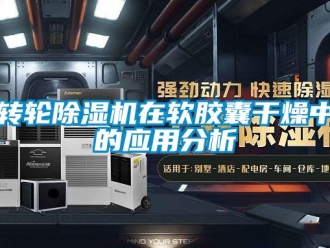 常見問題轉輪91看片在线下载機在軟膠囊幹燥中的應用分析