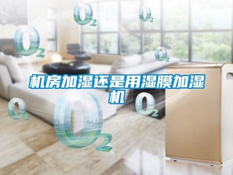 行業手机看片AV短片機房加濕還是用濕膜加濕機