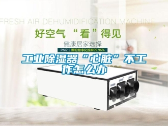 常見問題工業91看片在线下载器“心髒”不工作怎麽辦