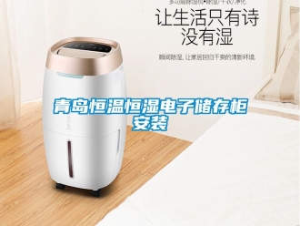 知識百科青島恒溫恒濕電子儲存櫃安裝