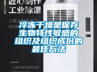行業手机看片AV短片冷凍幹燥是保存生物特性敏感的組織及組織成份的最佳方法