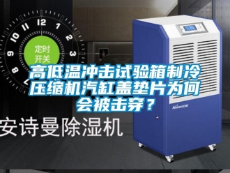 常見問題高低溫衝擊試驗箱製冷壓縮機汽缸蓋墊片為何會被擊穿？