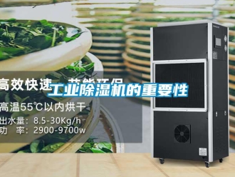 企業手机看片AV短片工業91看片在线下载機的重要性