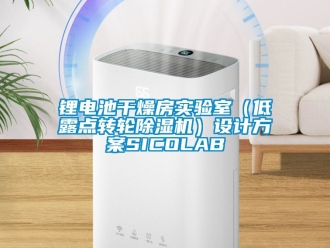 常見問題鋰電池幹燥房實驗室（低露點轉輪91看片在线下载機）設計免费看片下载SICOLAB