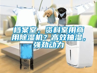 企業手机看片AV短片檔案室，資料室用商用91看片在线下载機？高效抽濕，強勁動力