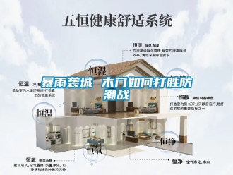 企業手机看片AV短片暴雨襲城 木門如何打勝防潮戰